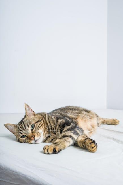 How Weighted Blankets Can Enhance Sleep Quality