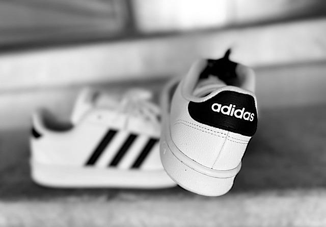 Tips for Choosing Brands That Prioritize Honesty and Accountability